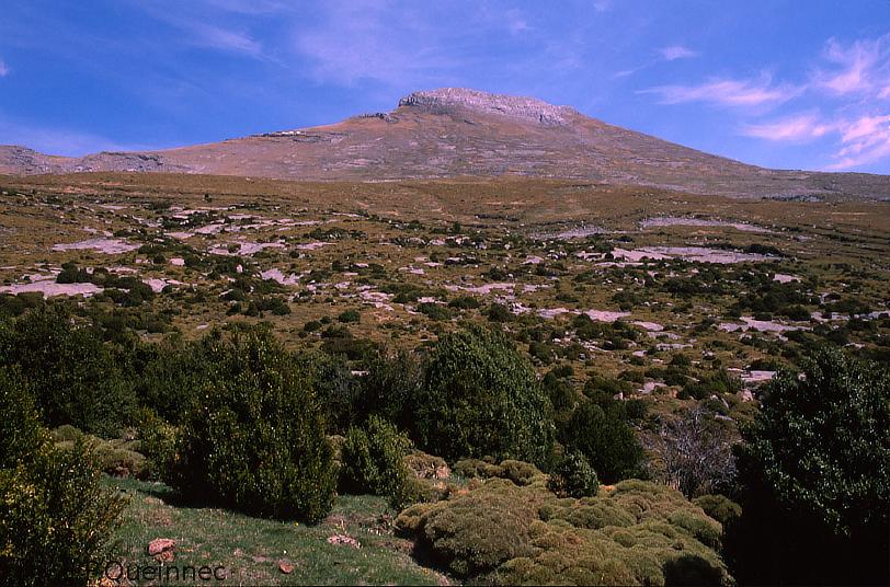 Peña Altura
