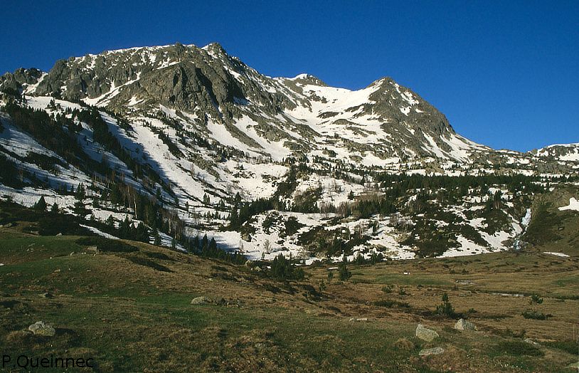 Camp Colomer