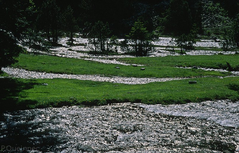 vallée du Lutour