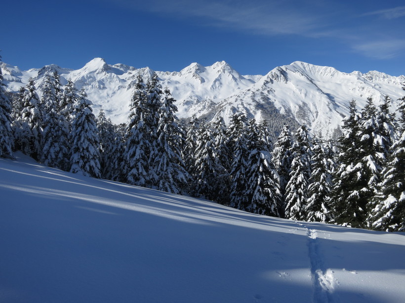 Tuca Blanca de Pomèro