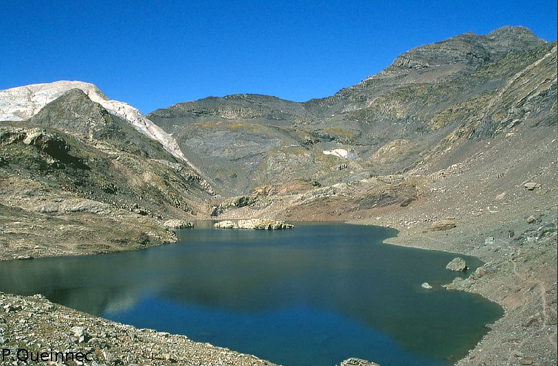 Pène Blanque, Munia
