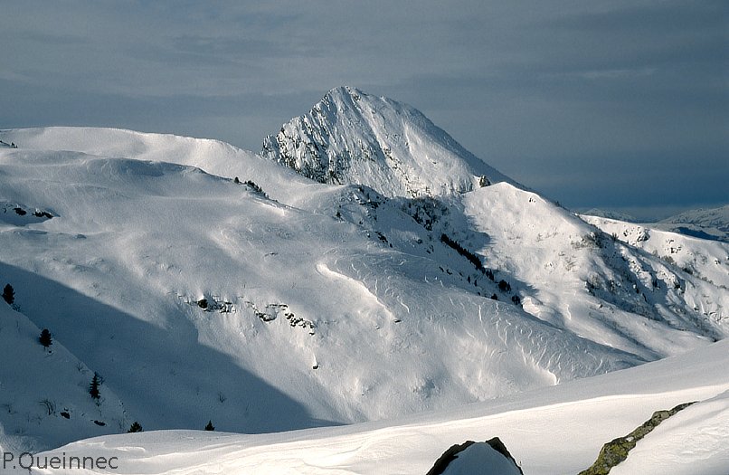 Dent d'Orlu