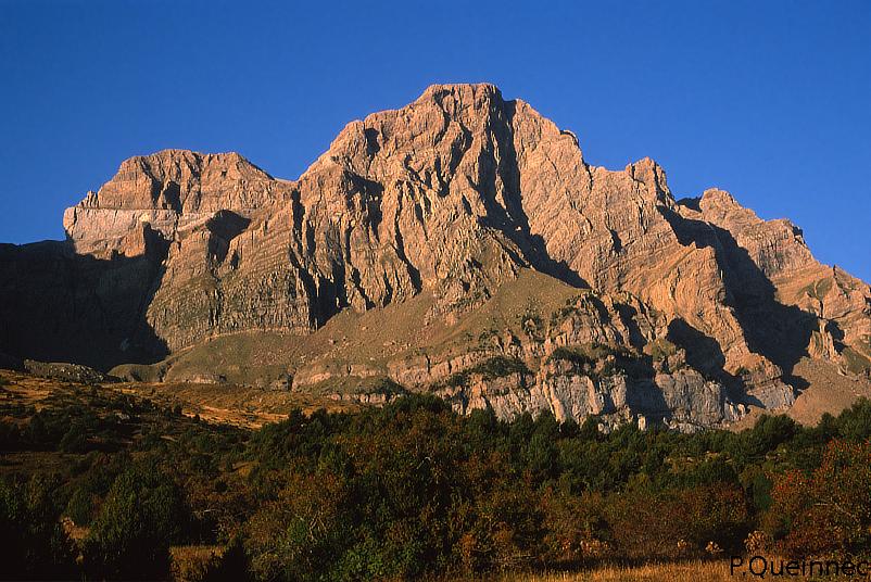 Telera