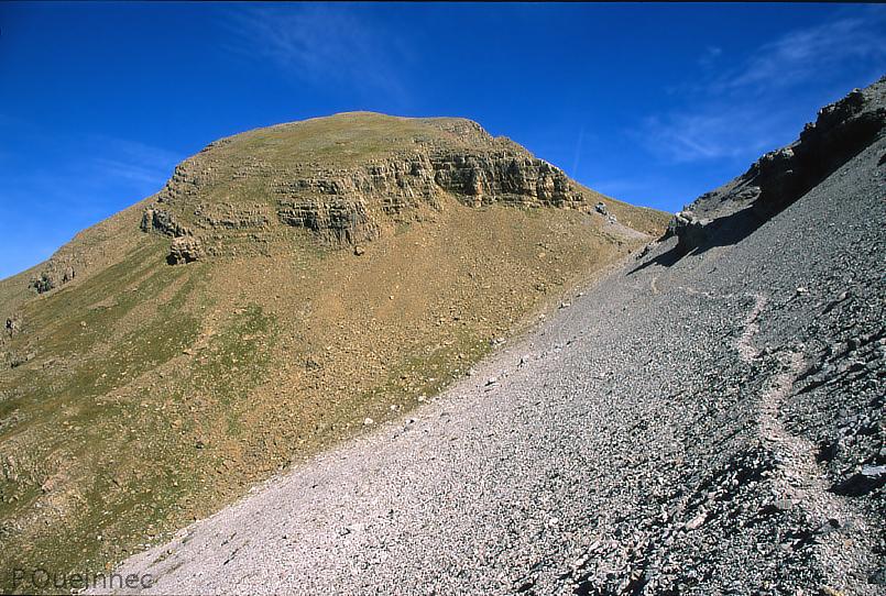 Telera